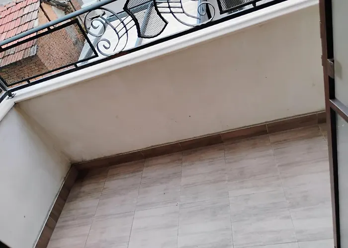 за гости белите брези