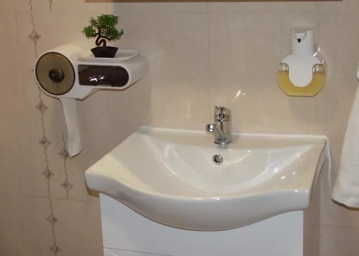 за гости белите брези *