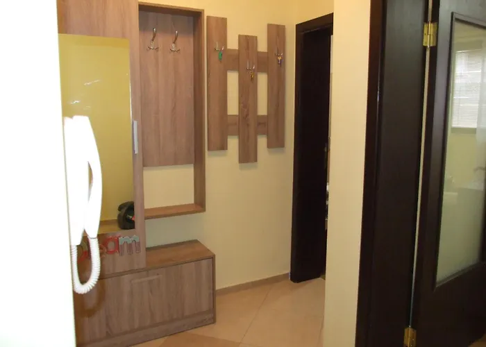 за гости белите брези