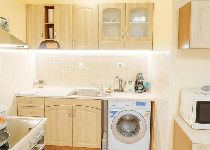 за гости белите брези *